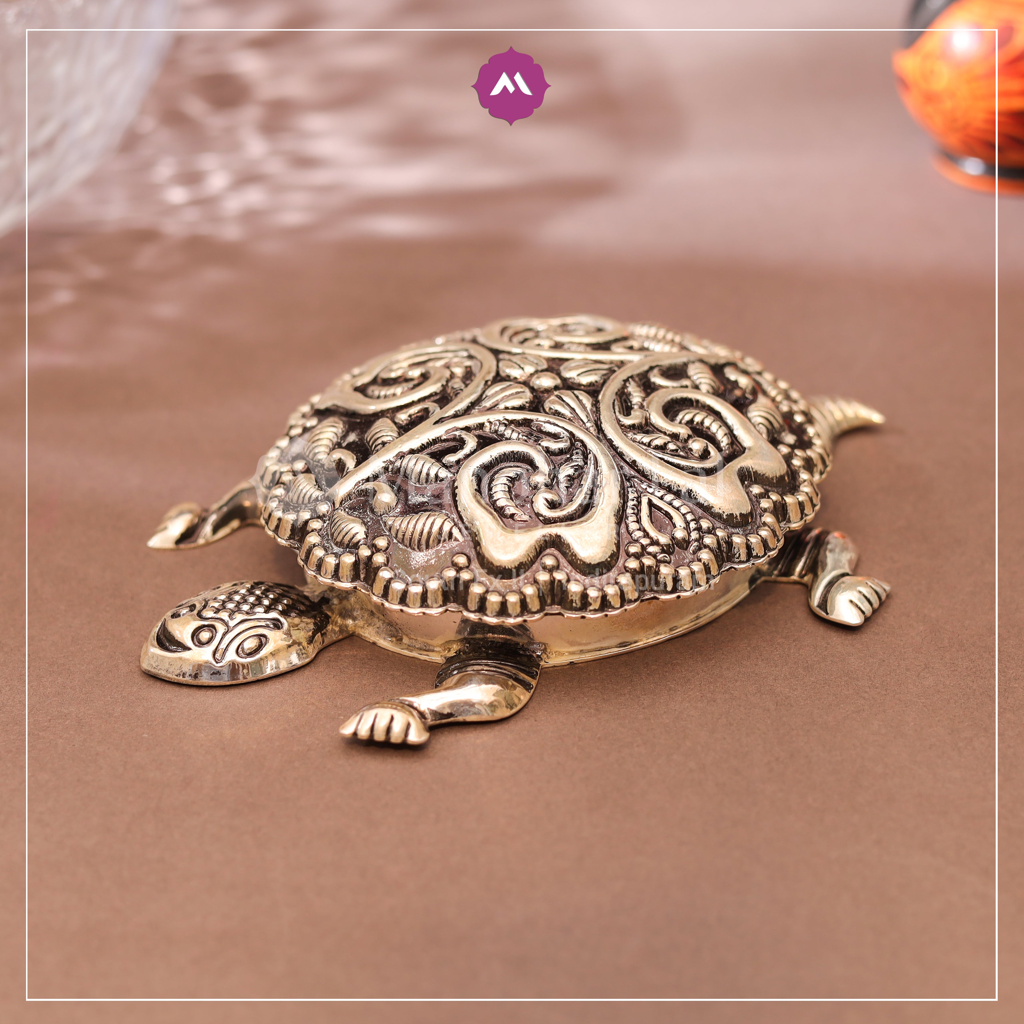 Silver Tortoise MLJ -663