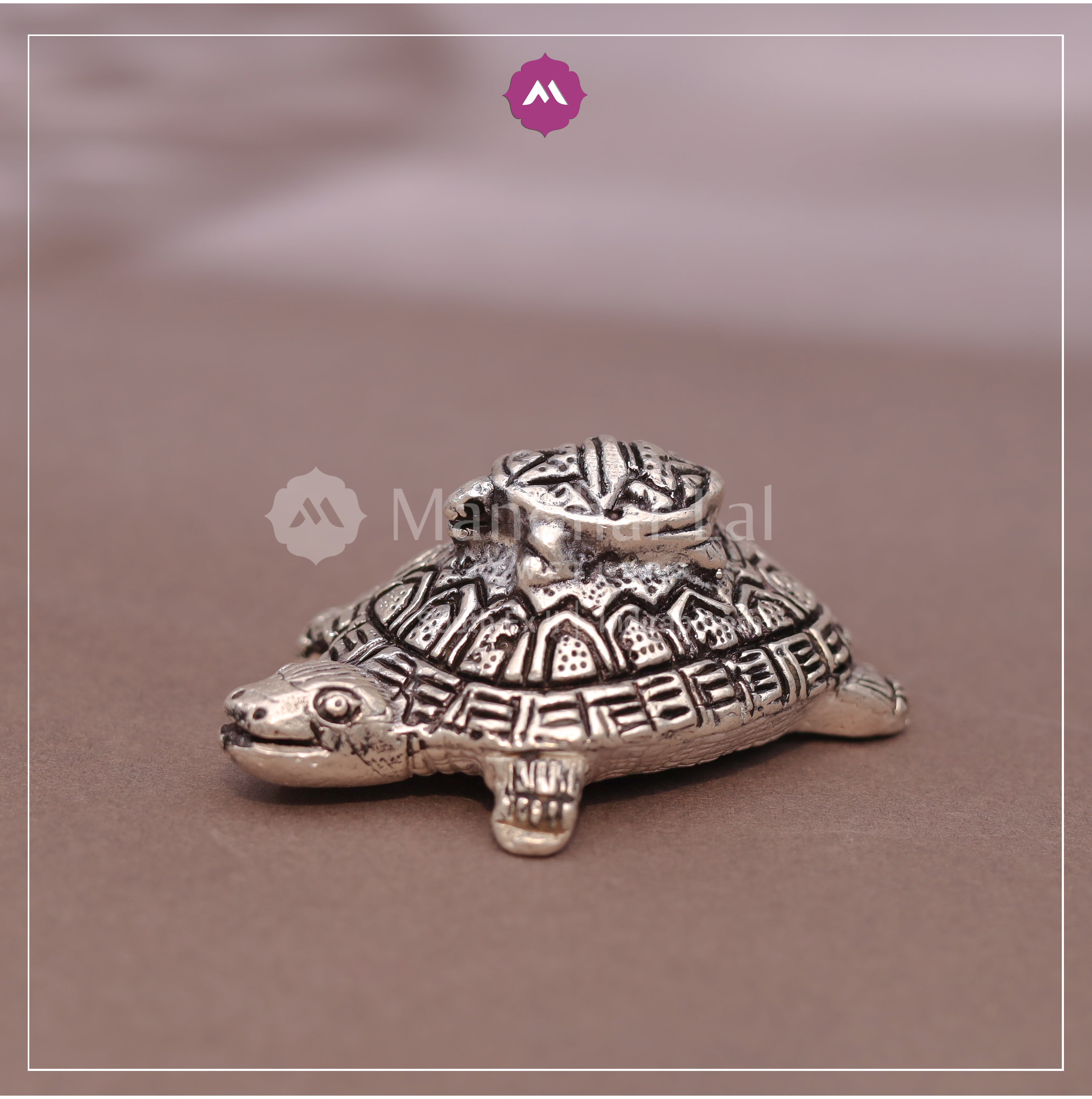 Silver Tortoise MLJ -649