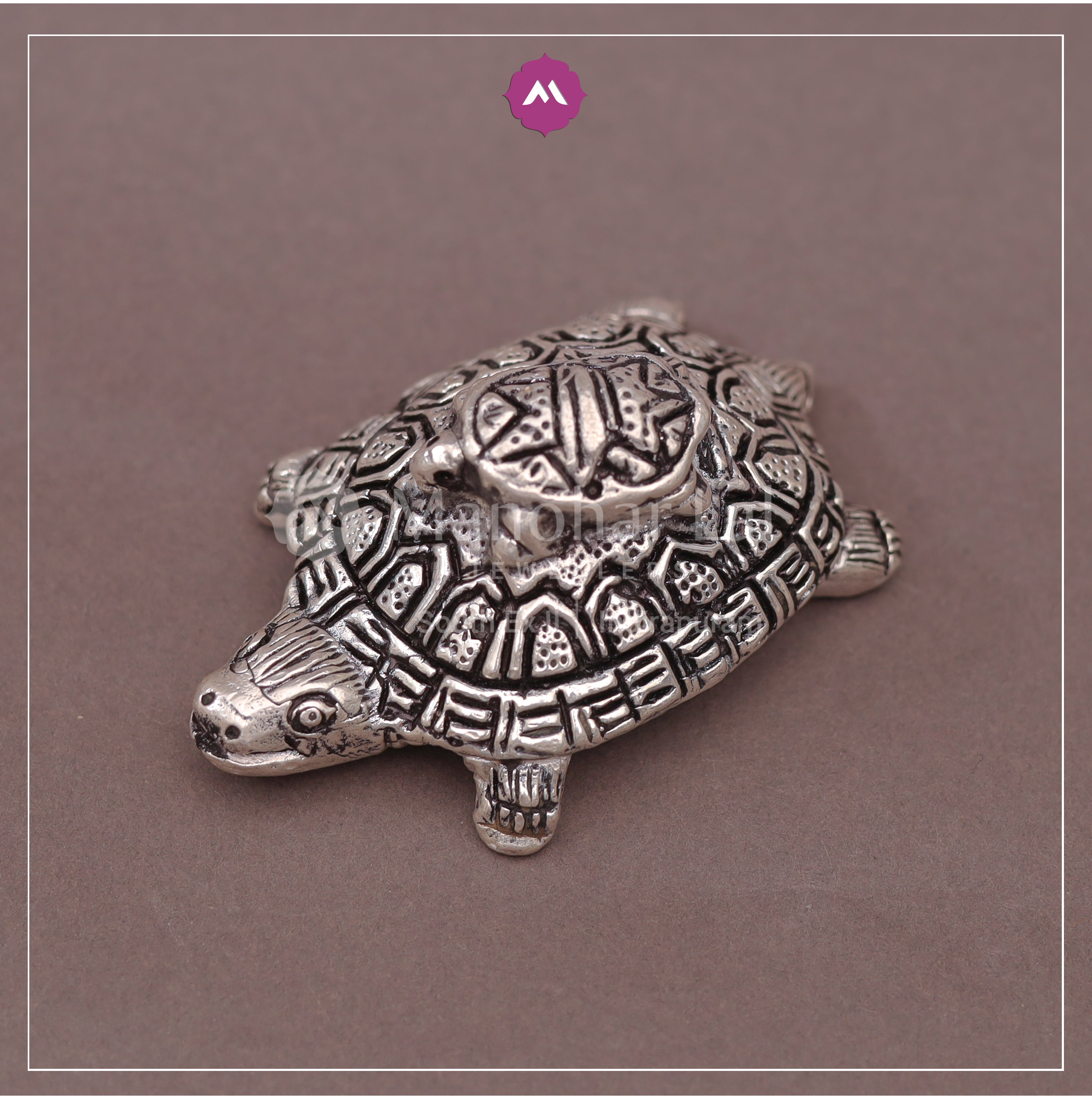 Silver Tortoise MLJ -649